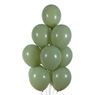 Imagen de Globos Eucalipto Fashion Sólido 30cm Sempertex R12-027 (50)