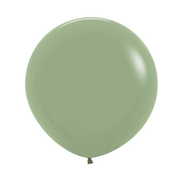 Imagen de Globos Eucalipto Fashion Sólido 60cm Sempertex R24-027 (10)