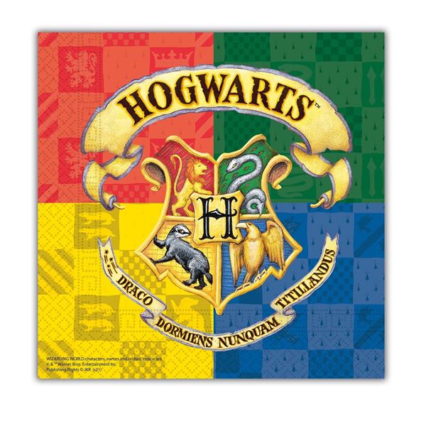 Imagen de Servilletas de Harry Potter Hogwarts papel 33cm (20 unidades)