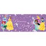 Imagen de Pancarta Grande de Fiesta de Princesas Disney