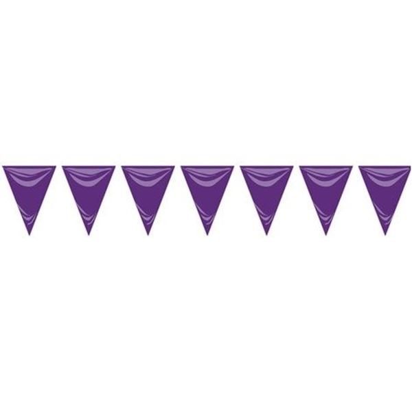 Banderín Morado plástico (25m)✔️ por sólo 5,50 €. Envío en 24h. Tienda  Online. Envíos gratis. . ✓. Artículos de  decoración para Fiestas.