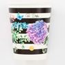 Picture of Vasos Black & Flowers cartón (8 unidades)