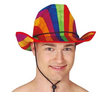 Imagen de Sombrero de Vaquero multicolor adulto