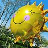 Imagen de Globo Sol Feliz Sunshine (74cm)