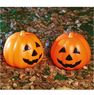 Picture of Calabaza con Luz (15cm)