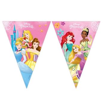 Picture of Banderín de Las Princesas Disney papel (2,3m)