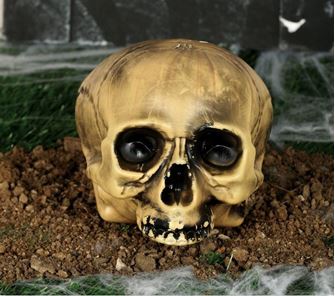 Imagens por categoria HALLOWEEN CALAVERAS Y ESQUELETOS