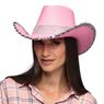 Imagen de Sombrero de Vaquero Rosa Lentejuelas Plateadas