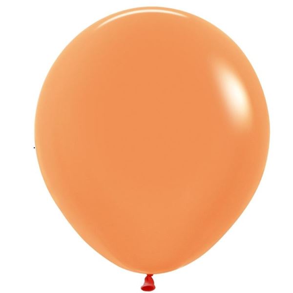 Imagen de Globos Neón Naranja 45cm Sempertex R18-261-15 (15)