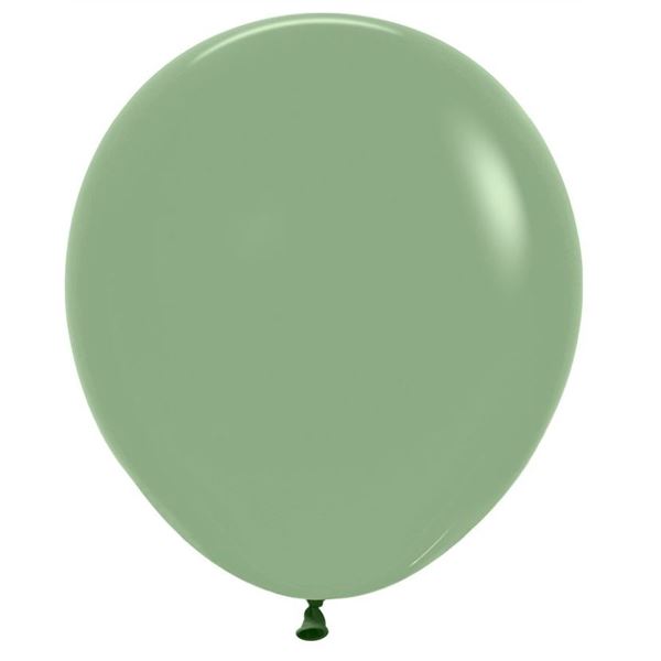 Imagen de Globos Eucalipto Fashion Sólido 45cm Sempertex R18-027 (15)