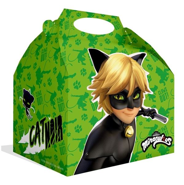 Imagen de Caja Ladybug Cat Noir cartón