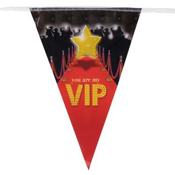 Imagens de Banderín Fiesta VIP plástico (5m)