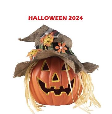 Imagen de categoría HALLOWEEN  2024 🎃