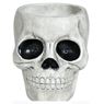 Picture of Bol Calavera Poliresina (15x12cm)