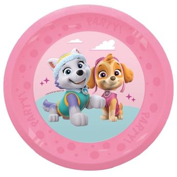 Imagens de Plato La Patrulla Canina Skye y Everest Plástico reutilizable 21cm(1ud)