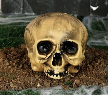 Imagens por categoria DECORACIÓN CALAVERAS Y ESQUELETOS