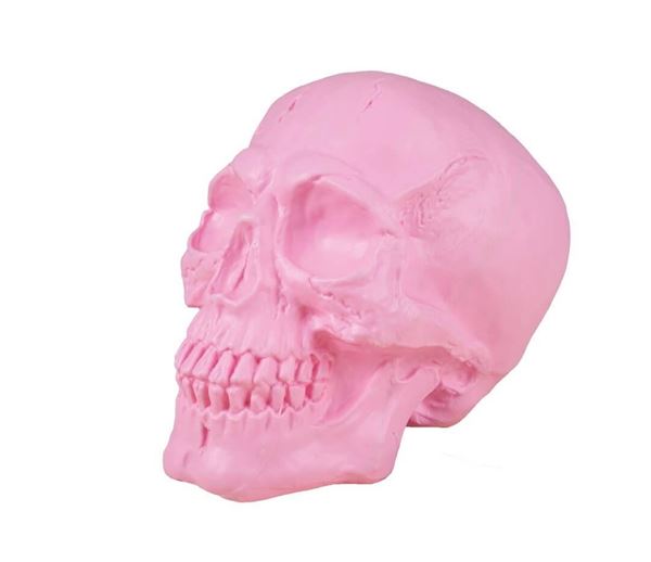 Imagen de Calavera Rosa (18cm)