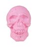 Imagens de Calavera Rosa (18cm)