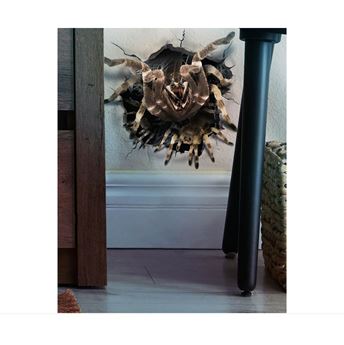 Imagen de Decorado Adhesivo Araña Aterradora (16cm)