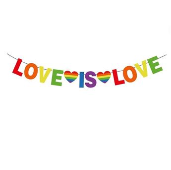 Imagen de Guirnalda Love is Love cartón (3m)